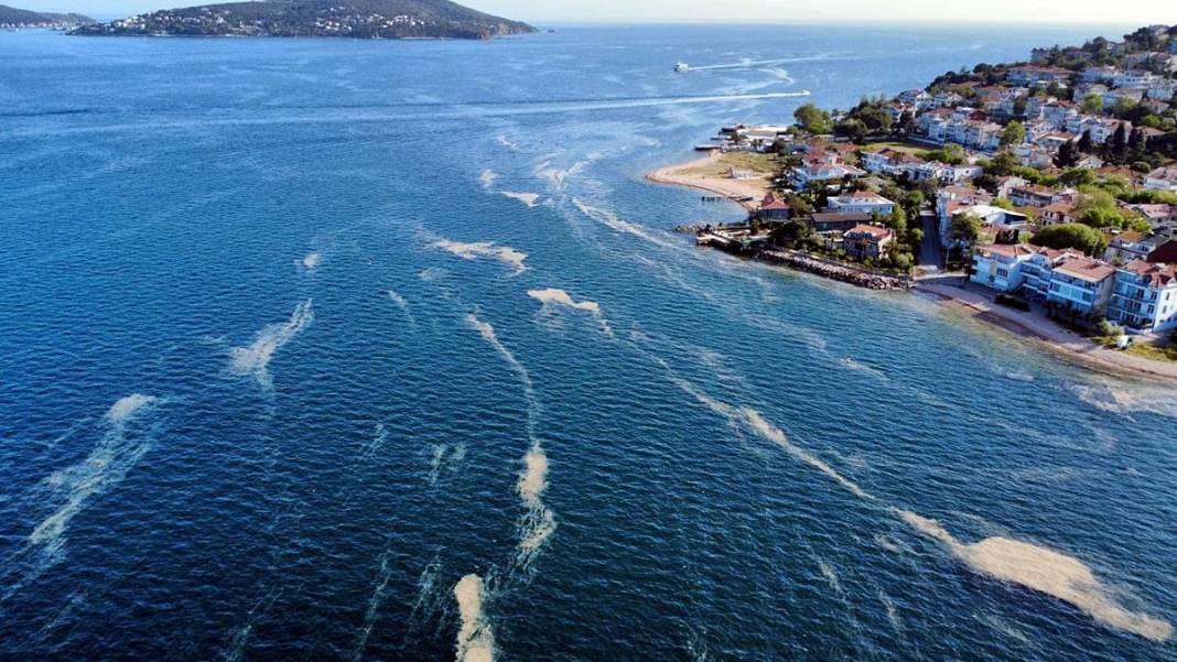 Kabus geri döndü: Bir anda beyaz tabakayla kaplandı! Çevre kirliliği had safhada 8